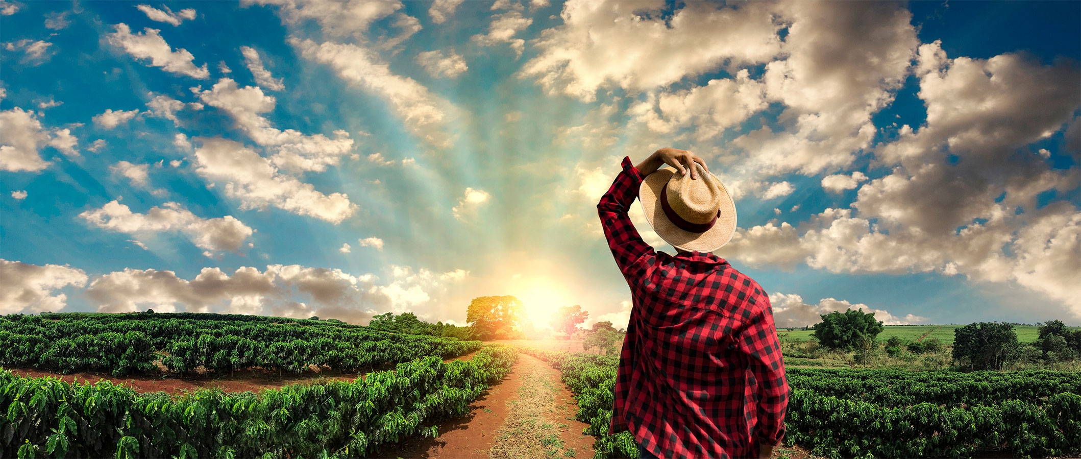 MİLLİ DEĞERLER IŞIĞINDAGELECEĞE ÜRETİM